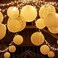 Novelty Place 6 inch White Paper Lanterns (Pack of 10) - Great Chinese/Japanese Home, Party &amp; Wedding Decorations