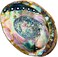 Alternative Imagination (15cm + Hand Selected Abalone Shell) - Hand Selected Abalone Shell, 15cm or Larger. Perfect for Holding Incense, Trinkets, and More
