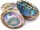 Alternative Imagination (15cm + Hand Selected Abalone Shell) - Hand Selected Abalone Shell, 15cm or Larger. Perfect for Holding Incense, Trinkets, and More