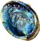 Alternative Imagination (15cm + Hand Selected Abalone Shell) - Hand Selected Abalone Shell, 15cm or Larger. Perfect for Holding Incense, Trinkets, and More