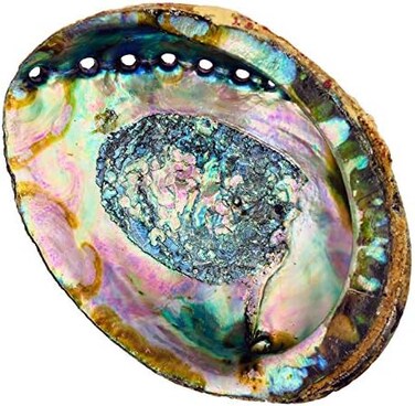 Alternative Imagination (15cm + Hand Selected Abalone Shell) - Hand Selected Abalone Shell, 15cm or Larger. Perfect for Holding Incense, Trinkets, and More