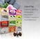 HEM 12 Assorted Boxes Of Incense Cones, 12 X 10 (120 Total) Hem