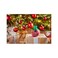 Miracle-Gro Christmas Trees