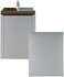 Quality Park Photo/Document Mailer, Redi-Strip, White, 9.75x12.5, 25 per box (64015)