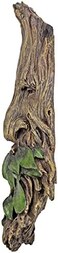 Design Toscano CL6218 Whispering Wilhelm Tree Ent Wall Sculpture, 15 Inch, Multicolored