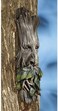 Design Toscano CL6218 Whispering Wilhelm Tree Ent Wall Sculpture, 15 Inch, Multicolored