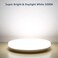 Lepro 11 inch 24 watt Flush Mount LED Ceiling Light 2400 Lumen 200 watt Equivalent, Waterproof, Daylight White 5000 Kelvin Bright Ceiling Fixture for Kitchen, Bathroom, Laundry, Hallway, Not-Dimmable