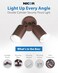 Nicor Lighting 50-Watt Double Bullet Adjustable Outdoor Flood Light, Bronze (11528)