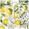 Michel Design Works 20-Count 3-Ply Paper Luncheon Napkins, Lemon Basil