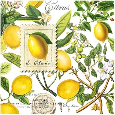 Michel Design Works 20-Count 3-Ply Paper Luncheon Napkins, Lemon Basil