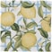 Caspari Entertaining with Seville Cocktail Napkins, Ivory, Box of 40