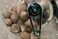 PEUGEOT Tidore Nutmeg Mill 11cm Acrylic. Stores 7 whole nutmegs. Stainless Steel grinding mechanism and claw.