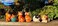 Streamline Imagined Guinea Pig Salt and Pepper Shaker Set