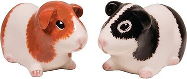 Streamline Imagined Guinea Pig Salt and Pepper Shaker Set