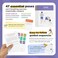 WorkoutLabs Yoga Cards &ndash; Beginner: Visual Study, Class Sequencing &amp; Practice Guide with Essential Poses, Breathing Exercises &amp; Meditation &middot; Plastic Flash Cards Deck with Sanskrit &hellip;