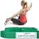 OPTP The Original Stretch Out Strap with Exercise Book &ndash; Made in the USA by &ndash; Top Choice of Physical Therapists &amp; Athletic Trainers