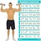 Vive Dumbbell Exercise Poster Home Gym Workout For Upper Lower Full Body Laminated Bodyweight Chart For Back Arm Core And Legs Free Weight Building Guide For Elderly
