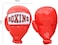 BANZAI Kids Inflatable Mega Boxing Gloves, Red Blue