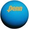 Penn Ultra-Blue Racquetball (3 Ball Can)