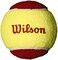 Wilson Youth Tennis Balls - Starter and US Open