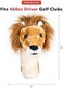 Daphne's Headcovers Lion