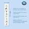 Autism Supplies and Developments Potty Training Visual Aid Kids &ndash; Teaches Kids to Use the Toilet &ndash; SEN Learning Resources -Visual Timetable for Autistic Children &ndash; Flash Cards