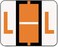 سميد ملصق ابجدي مرمز بالالوان على شكل شريط من بي سي سي ار، مقاس L، بكرة ملصقات، برتقالي داكن، 500 ملصق لكل لفة، (67082)