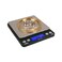 GemOro Platinum XP500 Extra Precision Portable Pocket Scale, 500g x 0.01, Silver