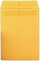 Quality Park Catalog Envelope, Redi-Seal, Brown Kraft, 9 x 12, 100 per Box, (43567)