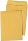 Quality Park Catalog Envelope, Redi-Seal, Brown Kraft, 9 x 12, 100 per Box, (43567)