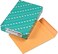 Quality Park Catalog Envelope, Redi-Seal, Brown Kraft, 9 x 12, 100 per Box, (43567)