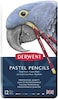 Derwent Pastel Pencil Tin Set, 12-Colors