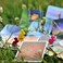 Libellud Dixit Board Game   Storytelling Game for Kids and Adults   Fun Family Board Game   Creative Kids Game   Ages 8 and up   3-6 Players   Average Playtime 30 Minutes   Made by