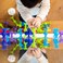 Fat Brain Toys Squigz Starter Set 24-Pieces
