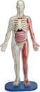 SmartLab Toys Squishy Human Body with 21 Removable Body Parts with Anatomy Book