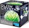 4M Glow Crystal Growing Kit