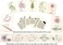 Dancing Bear Fossil Collection Sorting Activity Kit with over 100 Pcs (more than 20 different fossil varieties!), Educational ID Sheet, Color ID Cards, Bags, Magnifying Glass, and Shark Teeth, Brand