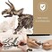 Liberty Imports Dinosaur Skeleton 3D Dino Fossil Bones Excavation Science Kit - Triceratops