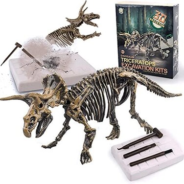 Liberty Imports Dinosaur Skeleton 3D Dino Fossil Bones Excavation Science Kit - Triceratops