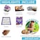 Dancing Bear Rock &amp; Mineral Collection Activity Kit with Geodes, Shark Teeth Fossils, Arrowheads, Crystals, Gemstones for Kids (200+Pieces)