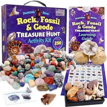 Dancing Bear Rock &amp; Mineral Collection Activity Kit with Geodes, Shark Teeth Fossils, Arrowheads, Crystals, Gemstones for Kids (200+Pieces)