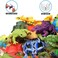 ValeforToy Frog Toys,12 Pack Mini Rubber Frog sets,Food Grade Material TPR Super Stretches,With Gift Bag And Learning Study Card, Realistic Frog Figure Squishy Toys For Boy