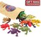 ValeforToy Frog Toys,12 Pack Mini Rubber Frog sets,Food Grade Material TPR Super Stretches,With Gift Bag And Learning Study Card, Realistic Frog Figure Squishy Toys For Boy