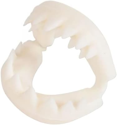 Rhode Island Novelty Great White Shark Teeth