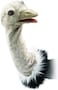 Folkmanis Ostrich Stage Puppet, Gray, White, Black, 1 ea