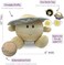 Celestial Buddies Saturn Plush