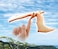 Brainstorm Toys N5150 The Natural History Museum Amazing Balancing Pteranodon