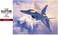 مجموعة نموذج رابتور F-22 بمقياس 1:48 من هاسيجاوا