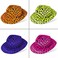 NOVELTY PLACE [Party Stars Neon Color Animal Print Plastic Party Hats for Kids Teens and Adult (Pack of 12)