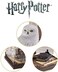 The Noble Collection NN7542 Harry Potter Collectible, Standard